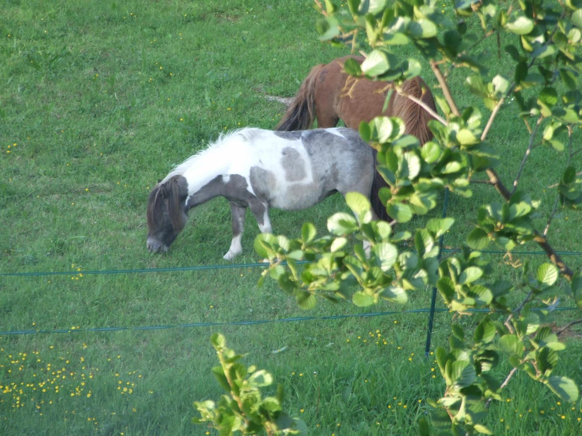 Bed & Breakfast D'hotes Du Port Gautier