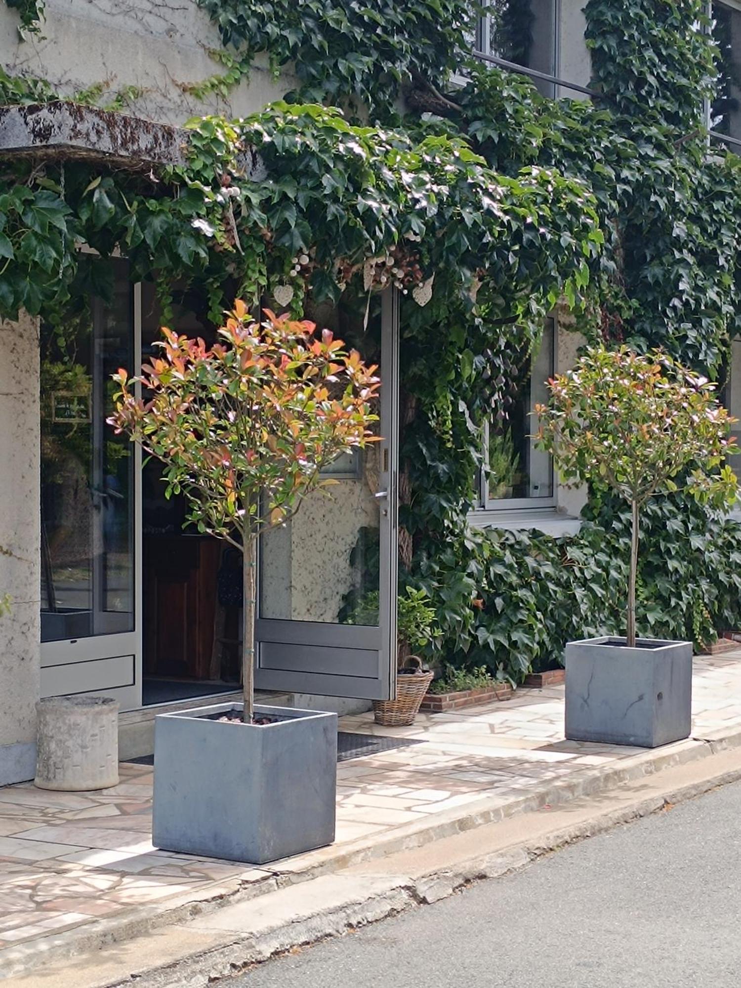 D'hotes Du Port Gautier Bed & Breakfast